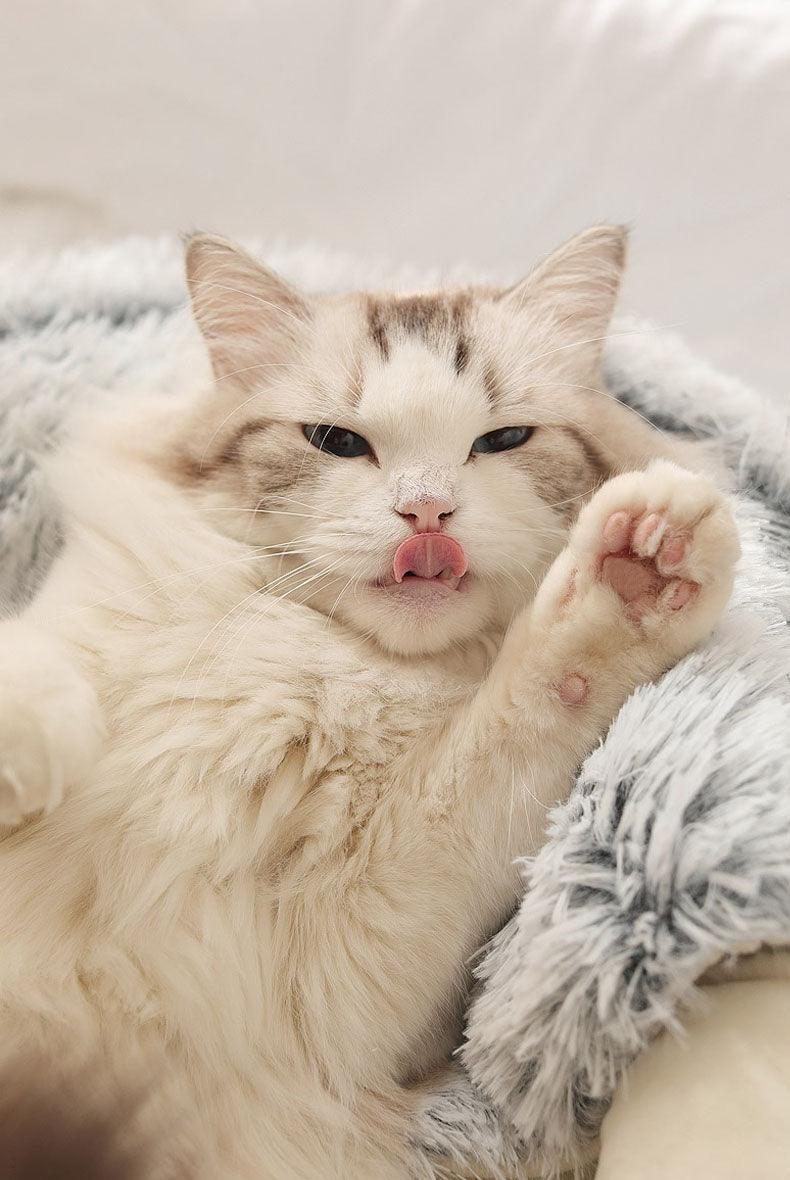 Cama Fluffy para PETS